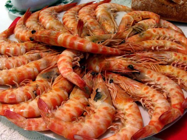 Laveedah-shrimps